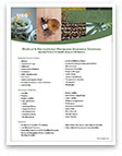 Download Cannabis Marketing Sheet