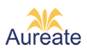 Aureate Technology Solutions